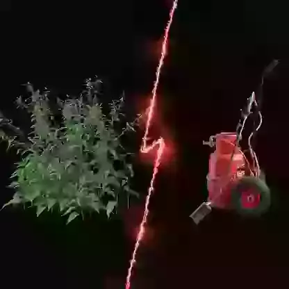 Propane Weed Burners